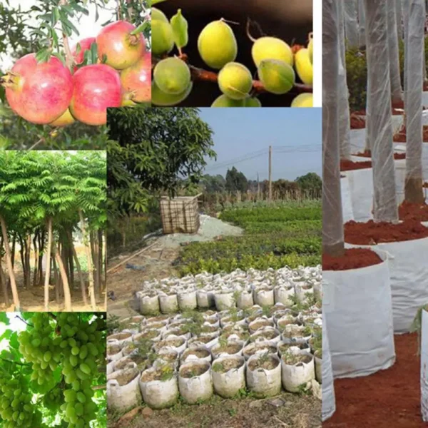 Round Fabric Pots - Root Container - Cultivation Pot - Image 2