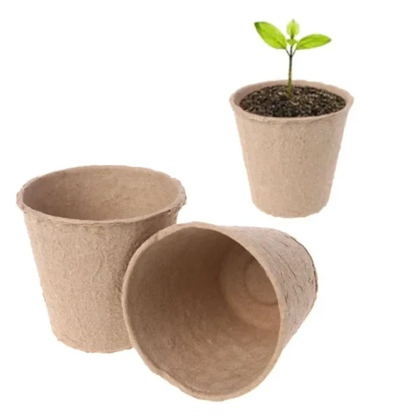 50 Pcs 6cm Seedling Pots - Biodegradable - Image 2