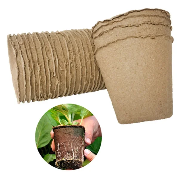 50 Pcs 6cm Seedling Pots - Biodegradable - Image 3