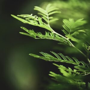 Biodegradable